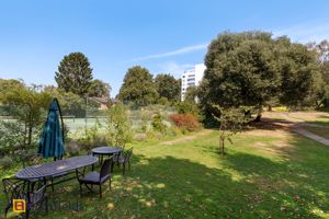 Garden- click for photo gallery